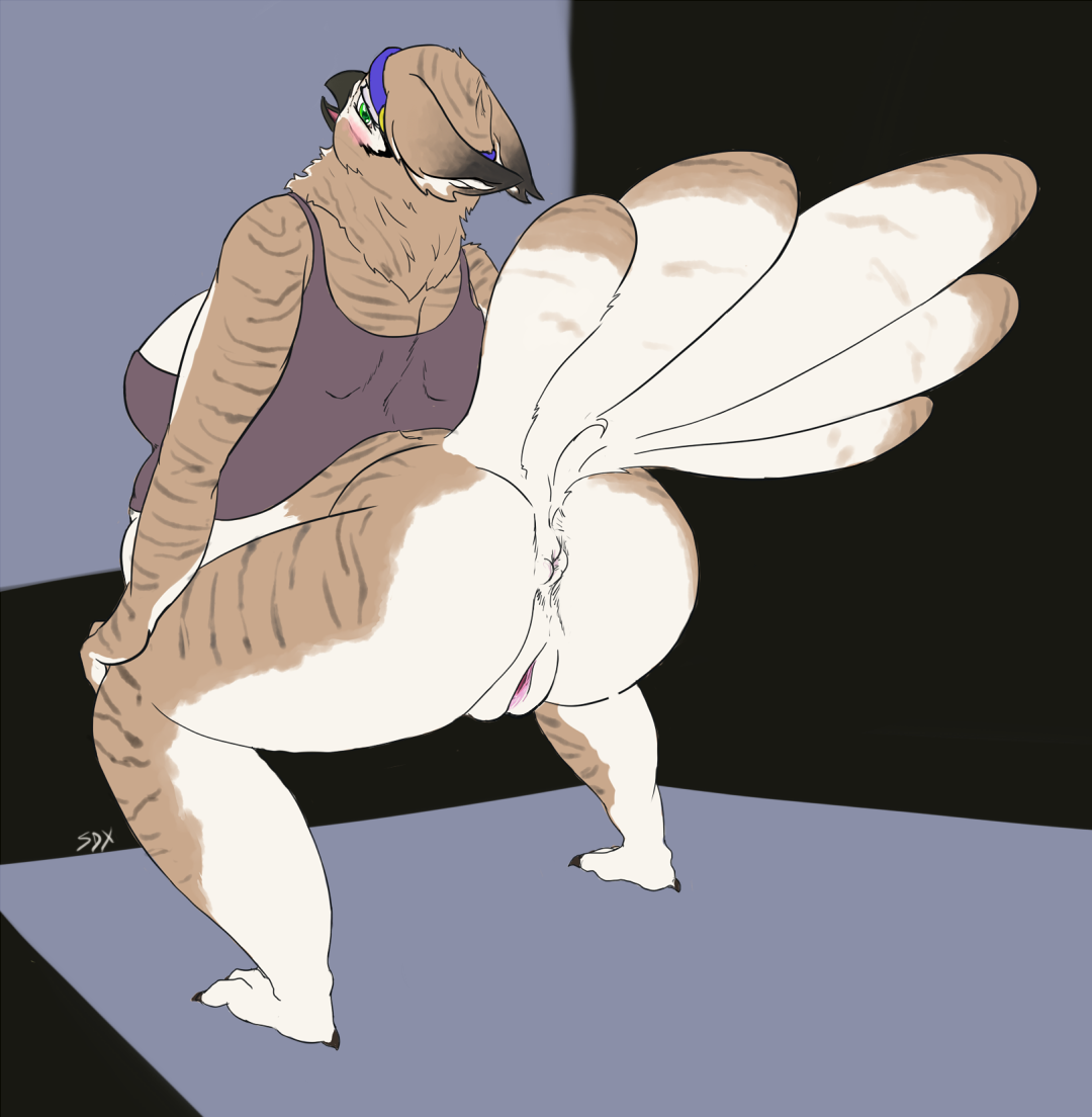 2011 Rule 34 Image