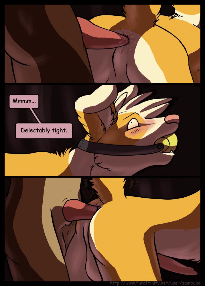 Anal Rule 34 Image