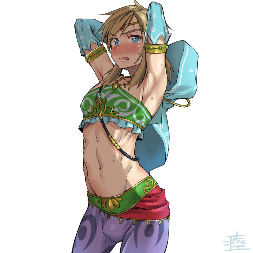 Gerudo Link (Breath Of The Wild) Rule 34 Image