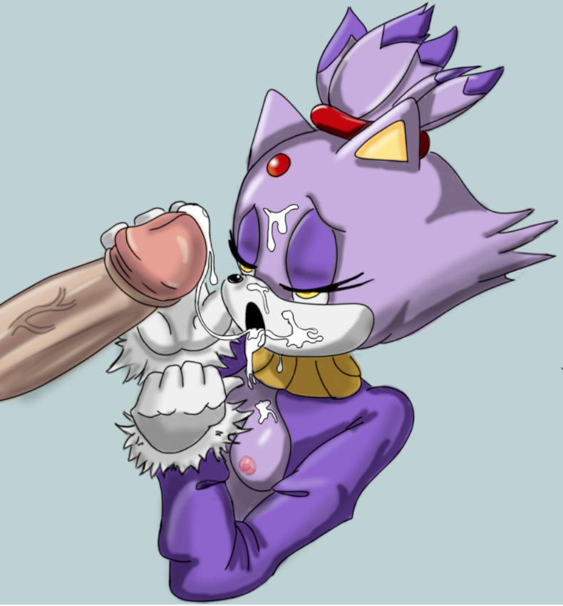 Blaze The Cat (Sonic (Series)) Rule 34 Image