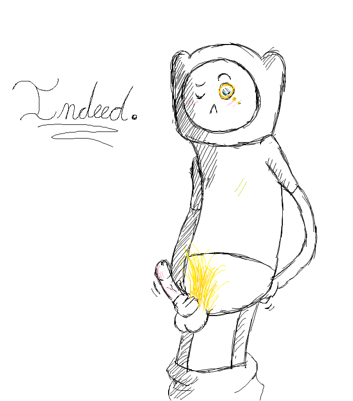 Finn The Human (Adventure Time) Rule 34 Image