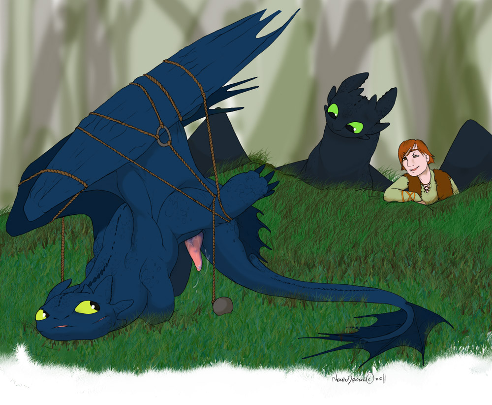 Hiccup Horrendous Haddock Iii (Dreamworks) Rule 34 Image