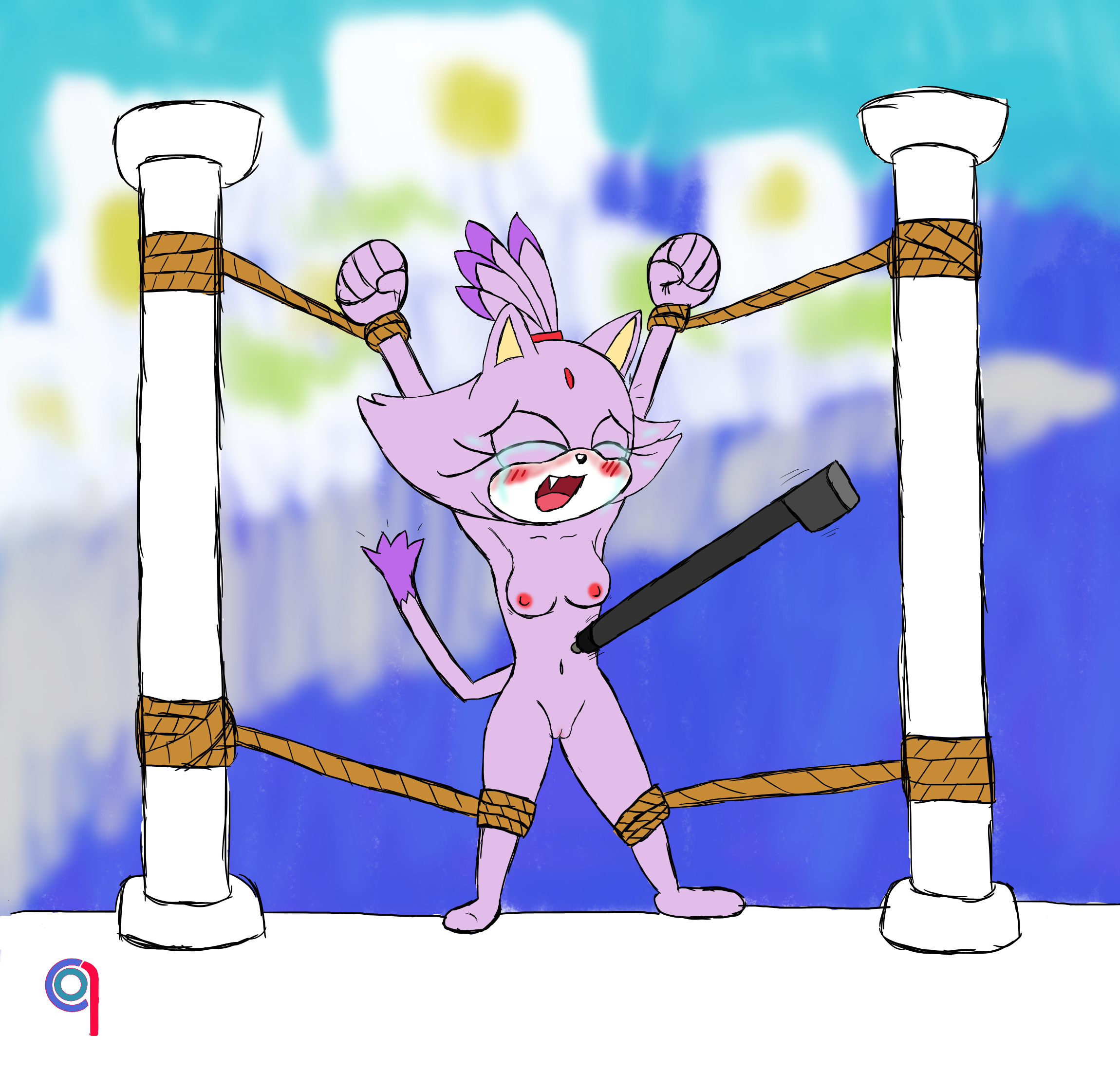Blaze The Cat (Nintendo Ds) Rule 34 Image