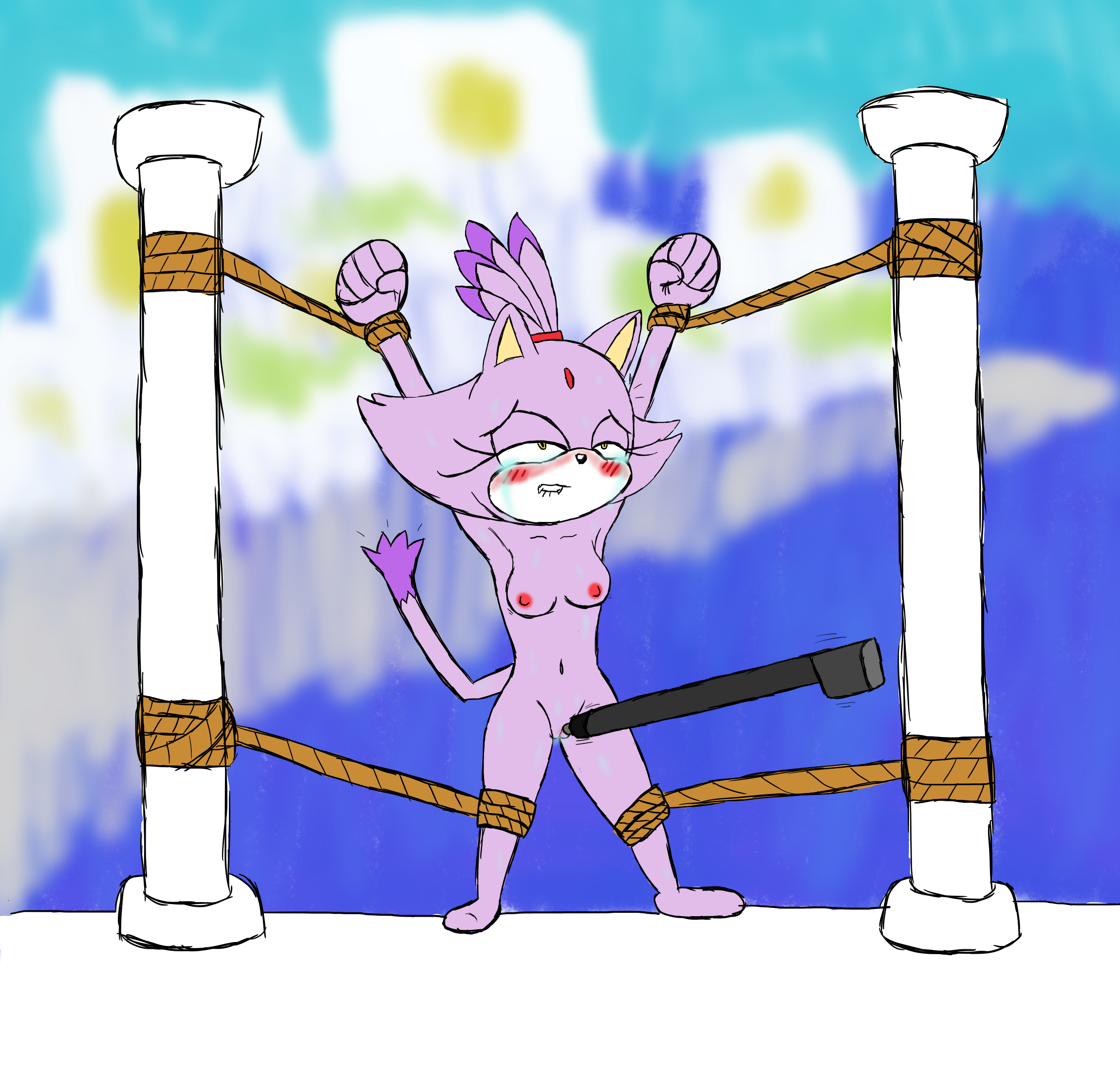 Blaze The Cat (Nintendo Ds) Rule 34 Image