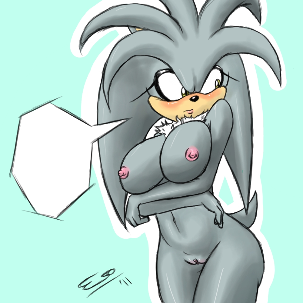 Silver The Hedgehog (Sonic (Series)) Rule 34 Image