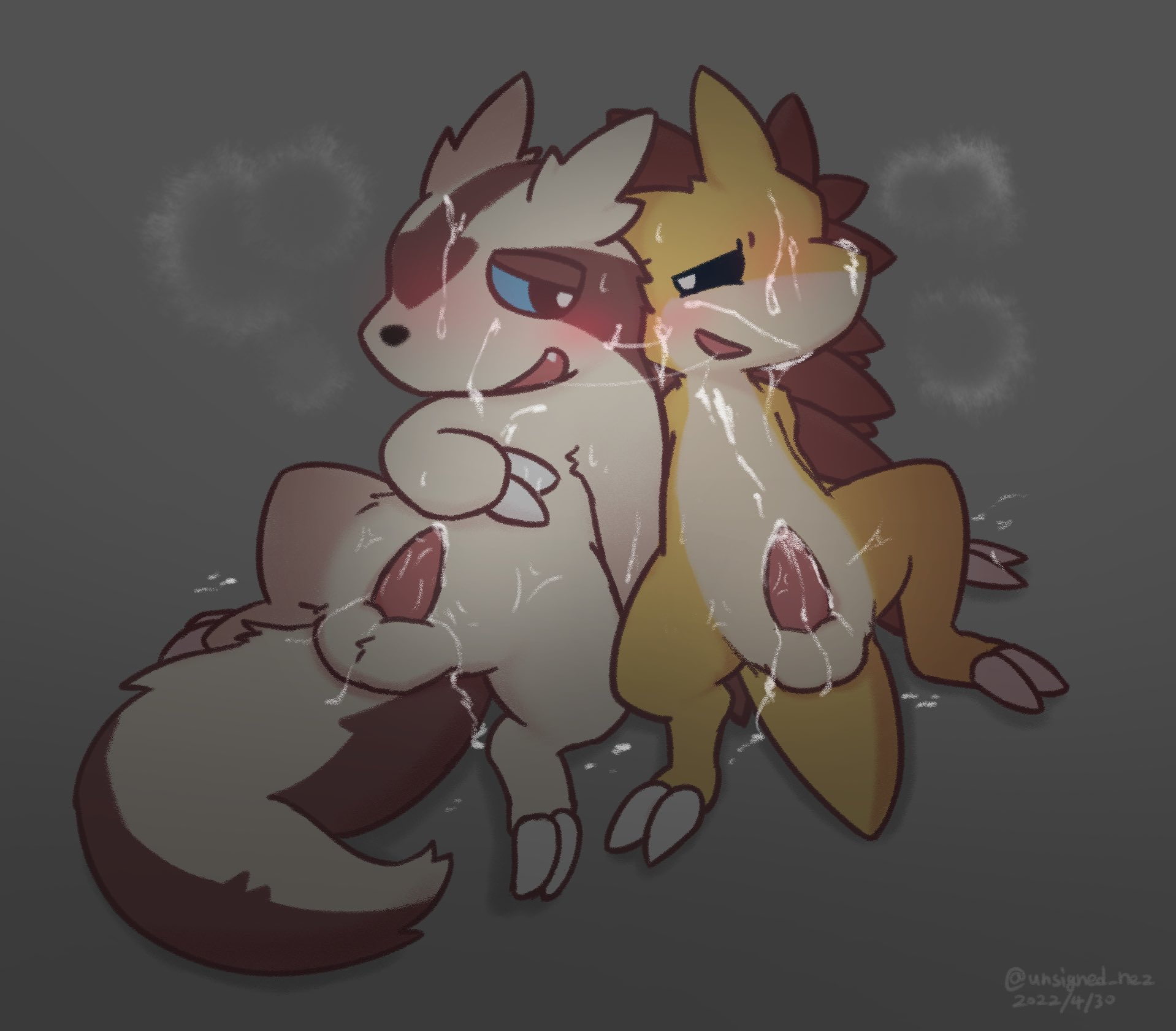 Linoone (Nintendo) Rule 34 Image