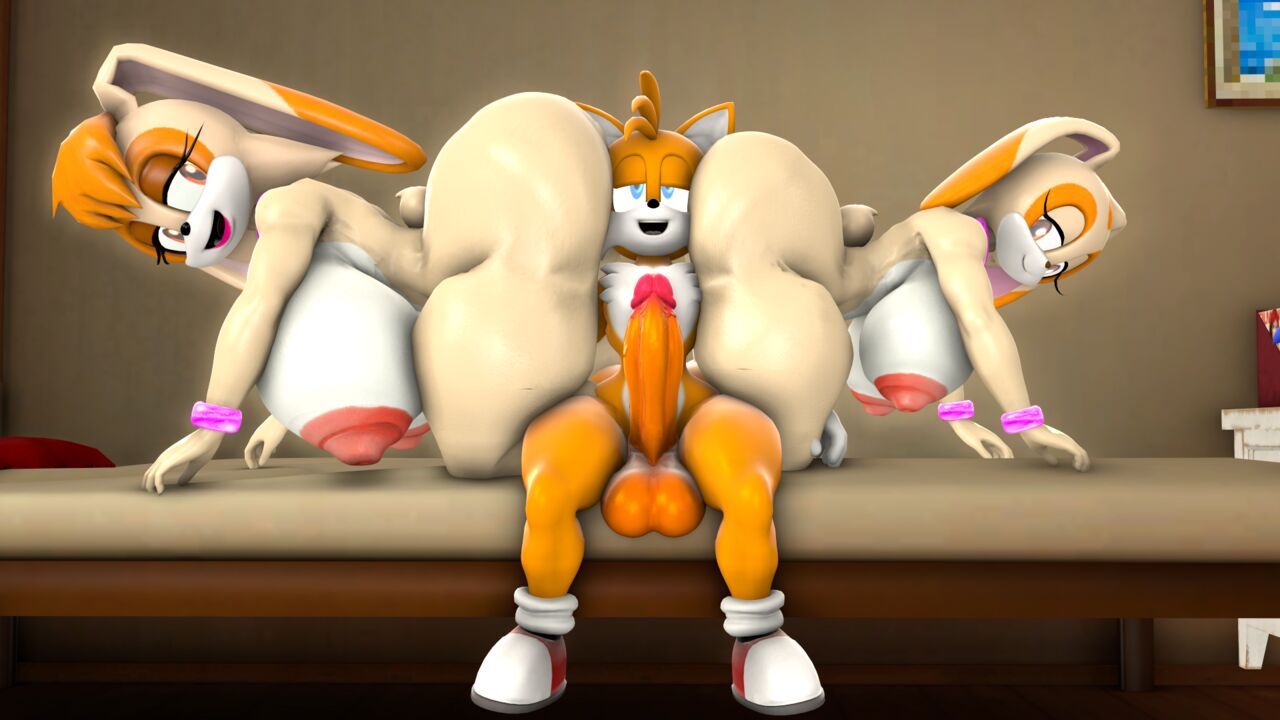 Cream The Rabbit (Sonic (Series)) Rule 34 Image