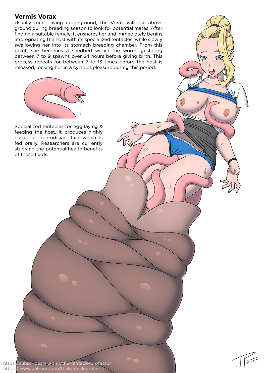 Dr. Elizabeth (Ttp) Rule 34 Image