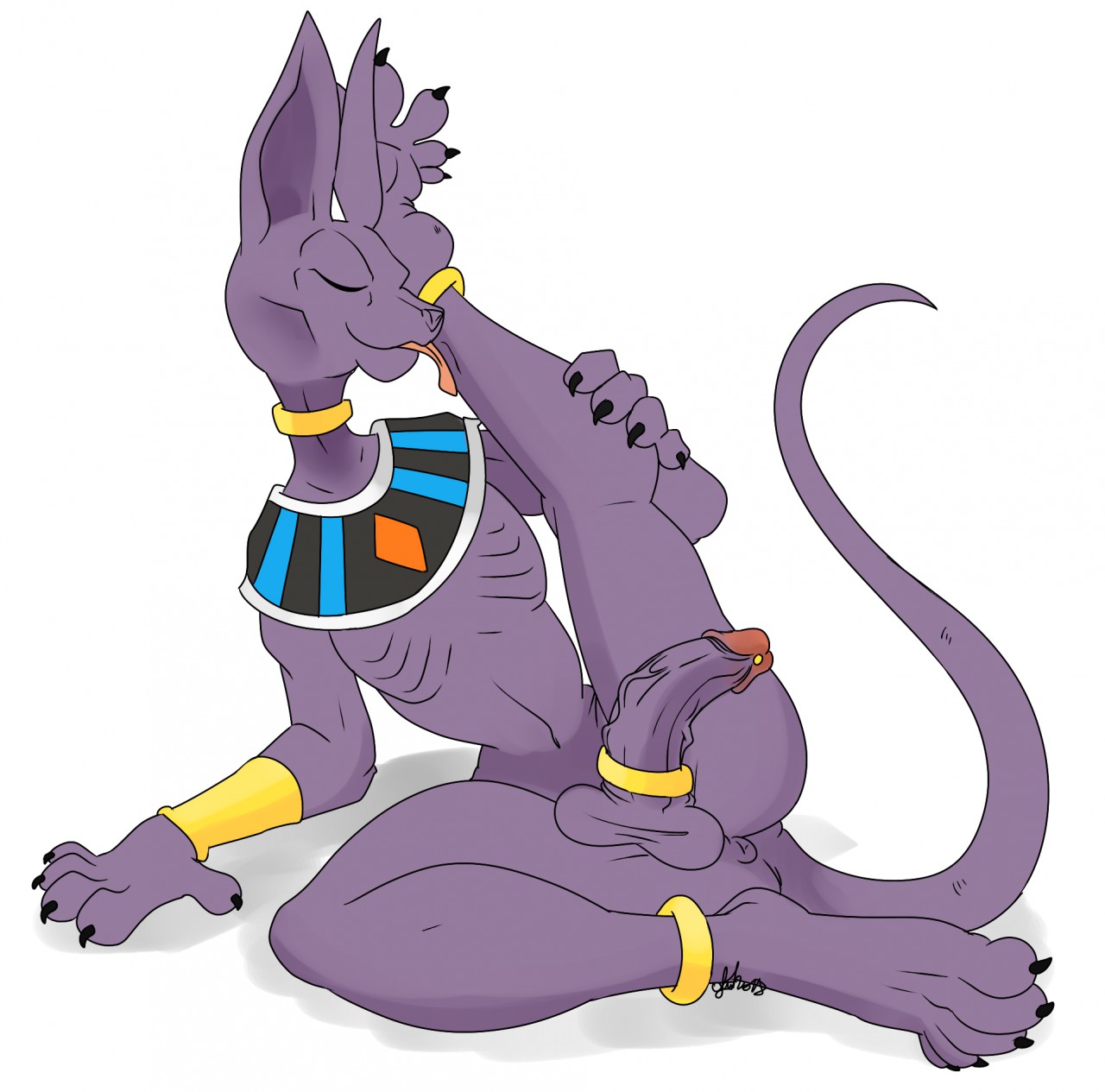 Beerus (Dragon Ball) Rule 34 Image