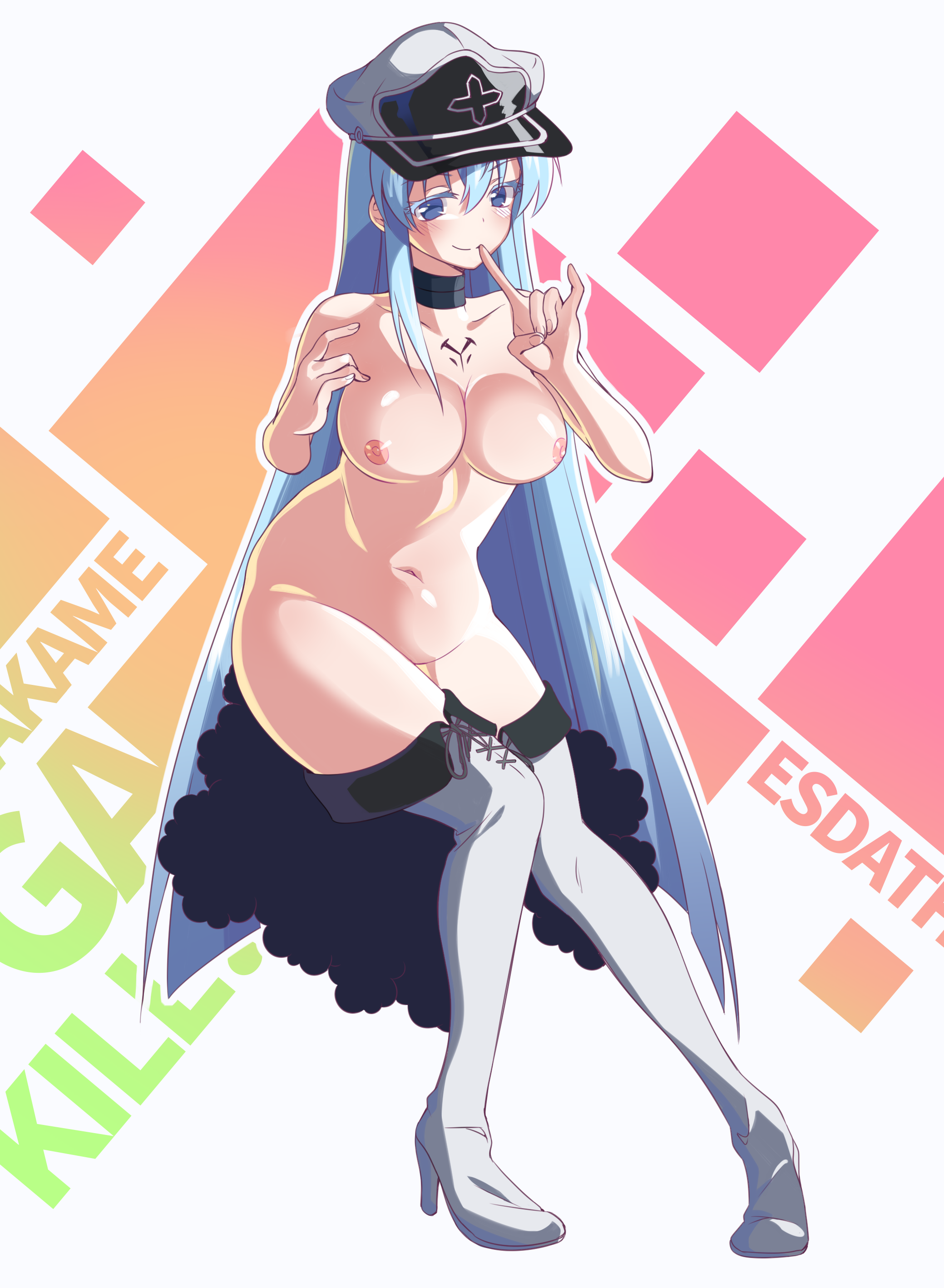 Esdeath (Akame Ga Kill!) Rule 34 Image