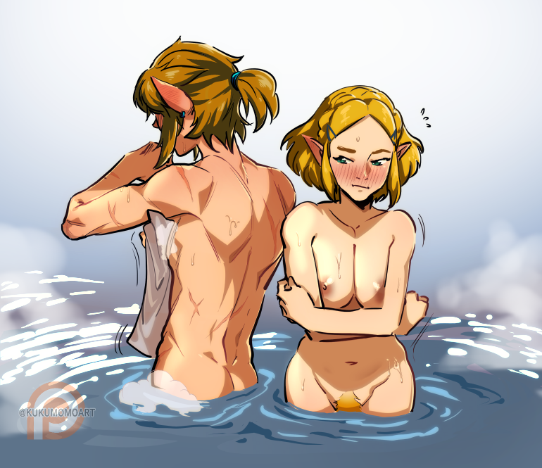 Link (Nintendo) Rule 34 Image