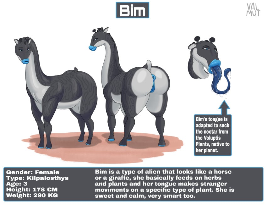 Bim (Valmut) Rule 34 Image