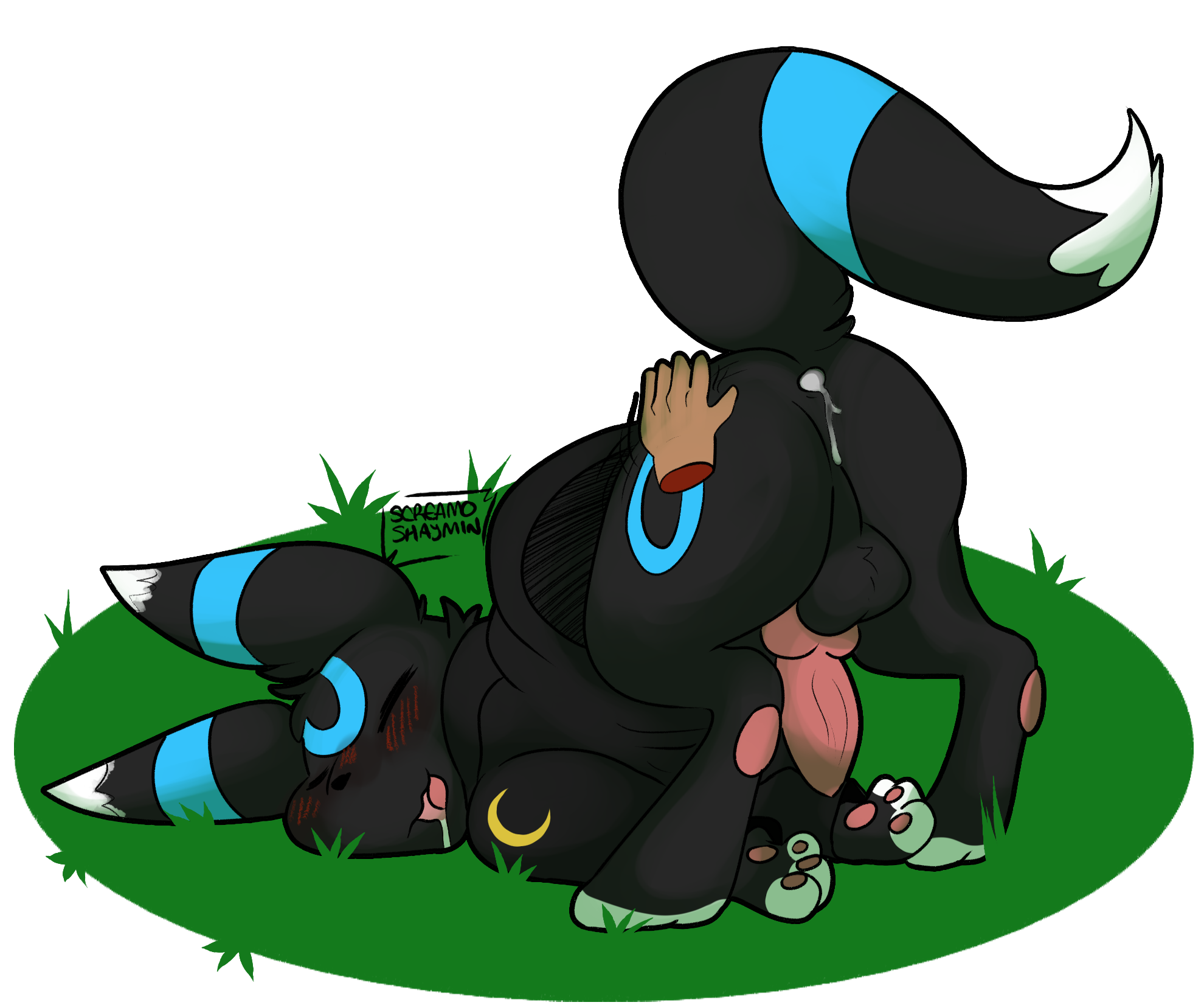 Eeveelution (Auro (Auropaw)) Rule 34 Image