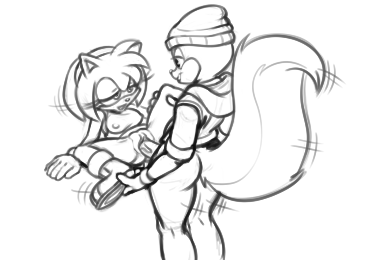 Amy Rose (Sonic (Series)) Rule 34 Image