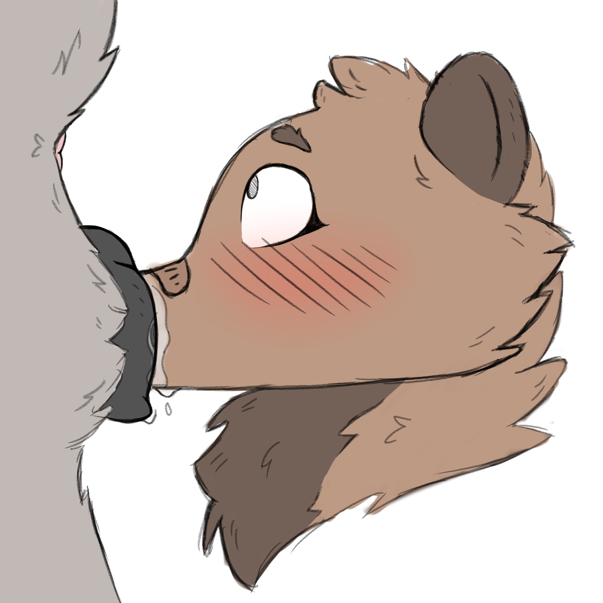 Animal Genitalia Rule 34 Image