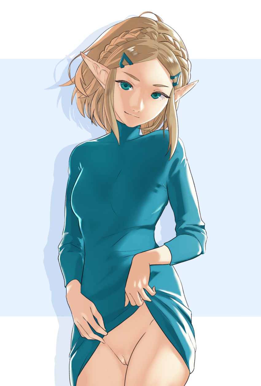 Zelda (Tears Of The Kingdom) Rule 34 Image