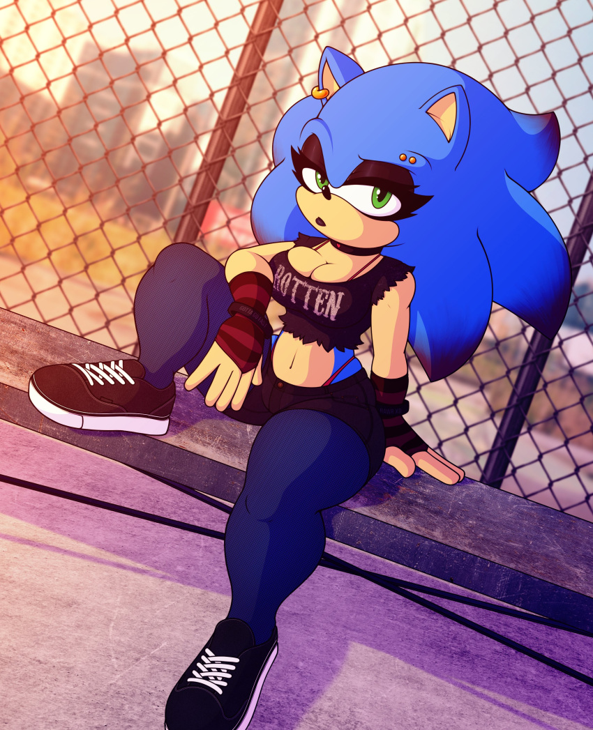 Sonic The Hedgehog (Sega) Rule 34 Image