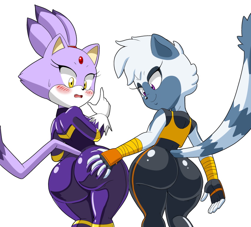 Blaze The Cat (Idw Comics) Rule 34 Image