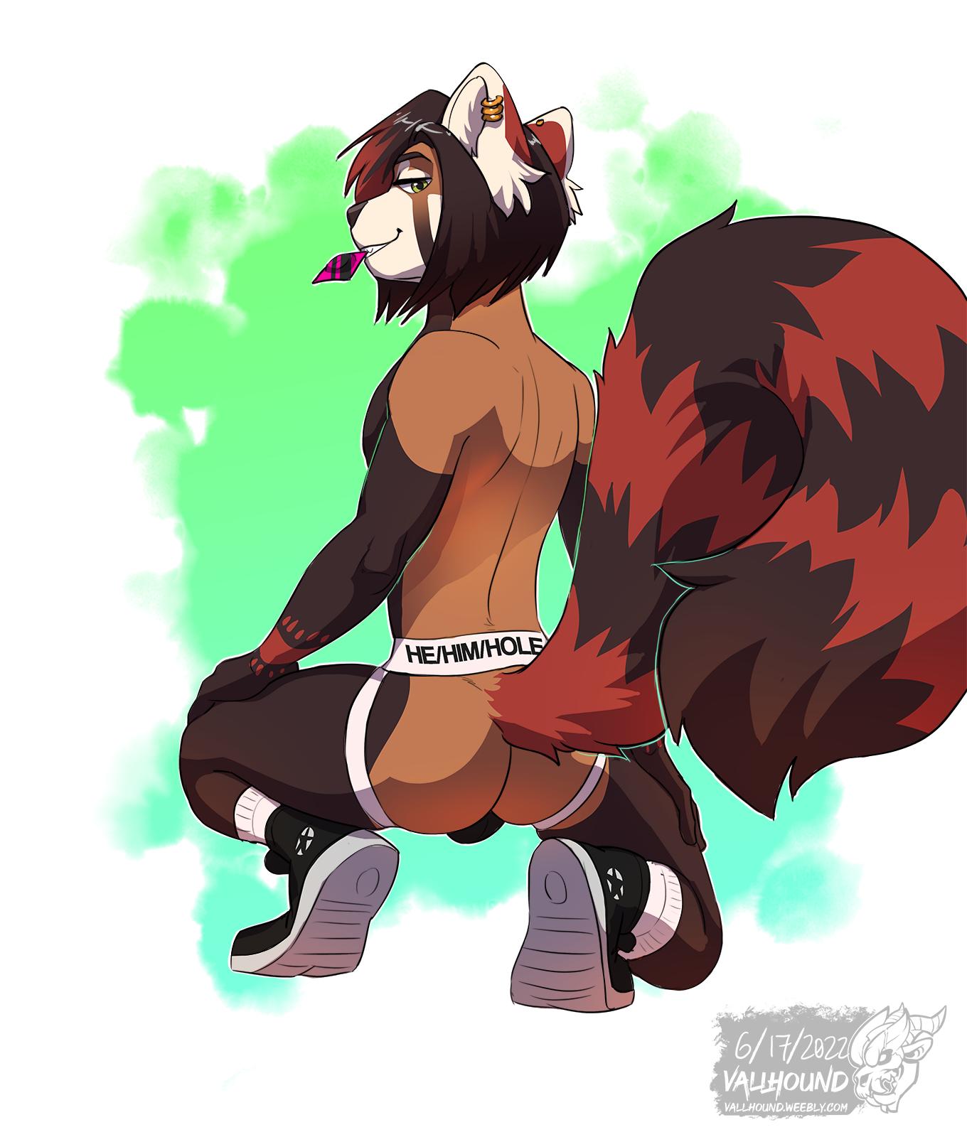 Ailurid Rule 34 Image