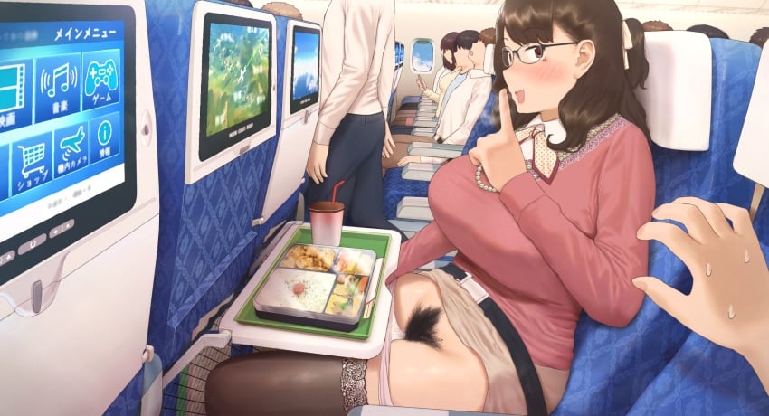 Airplane Interior Rule 34 Image
