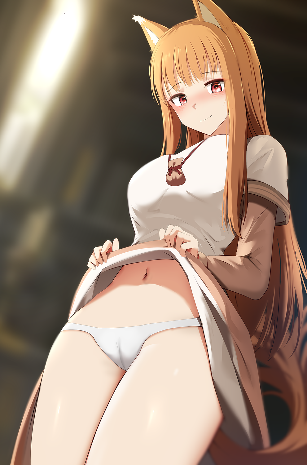 Holo (Spice And Wolf) Rule 34 Image