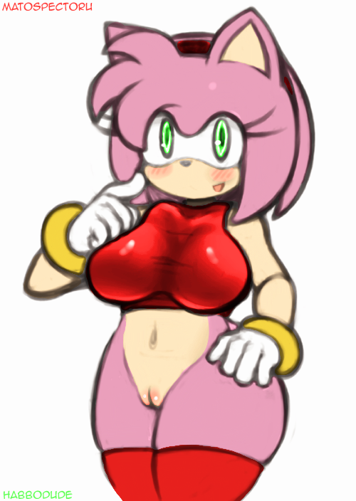 Amy Rose (Sonic (Series)) Rule 34 Image