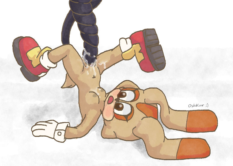 Cream The Rabbit (Sonic (Series)) Rule 34 Image