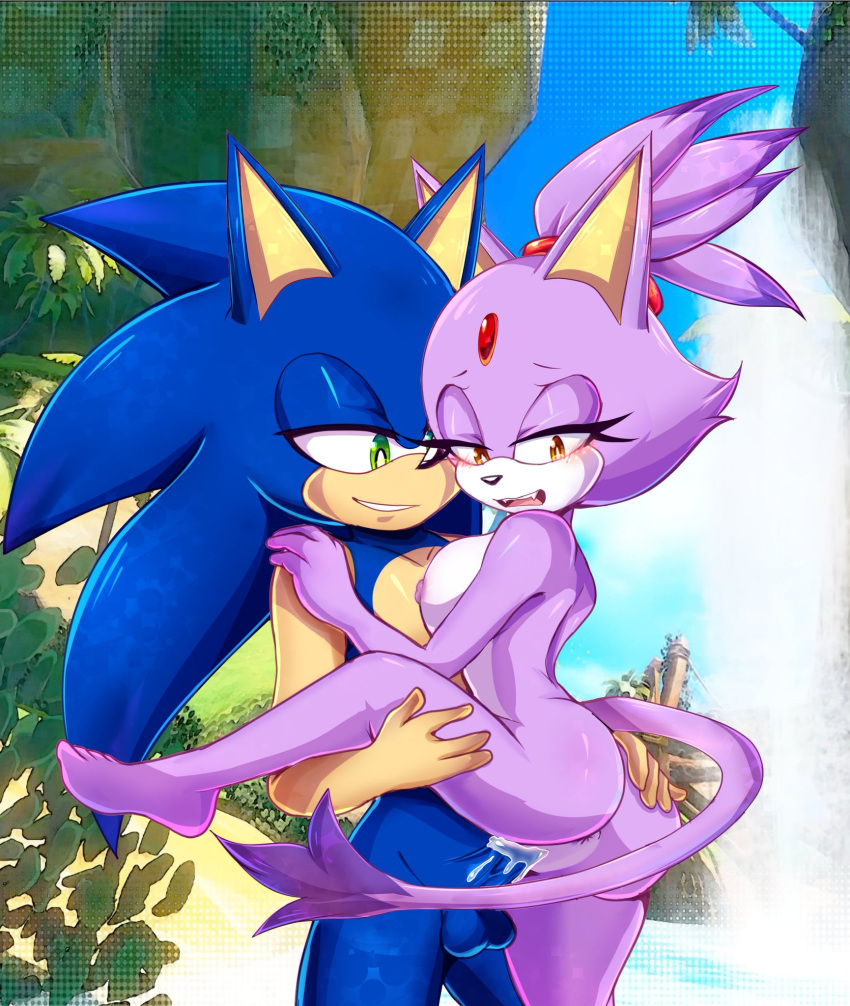 Blaze The Cat (Sega) Rule 34 Image