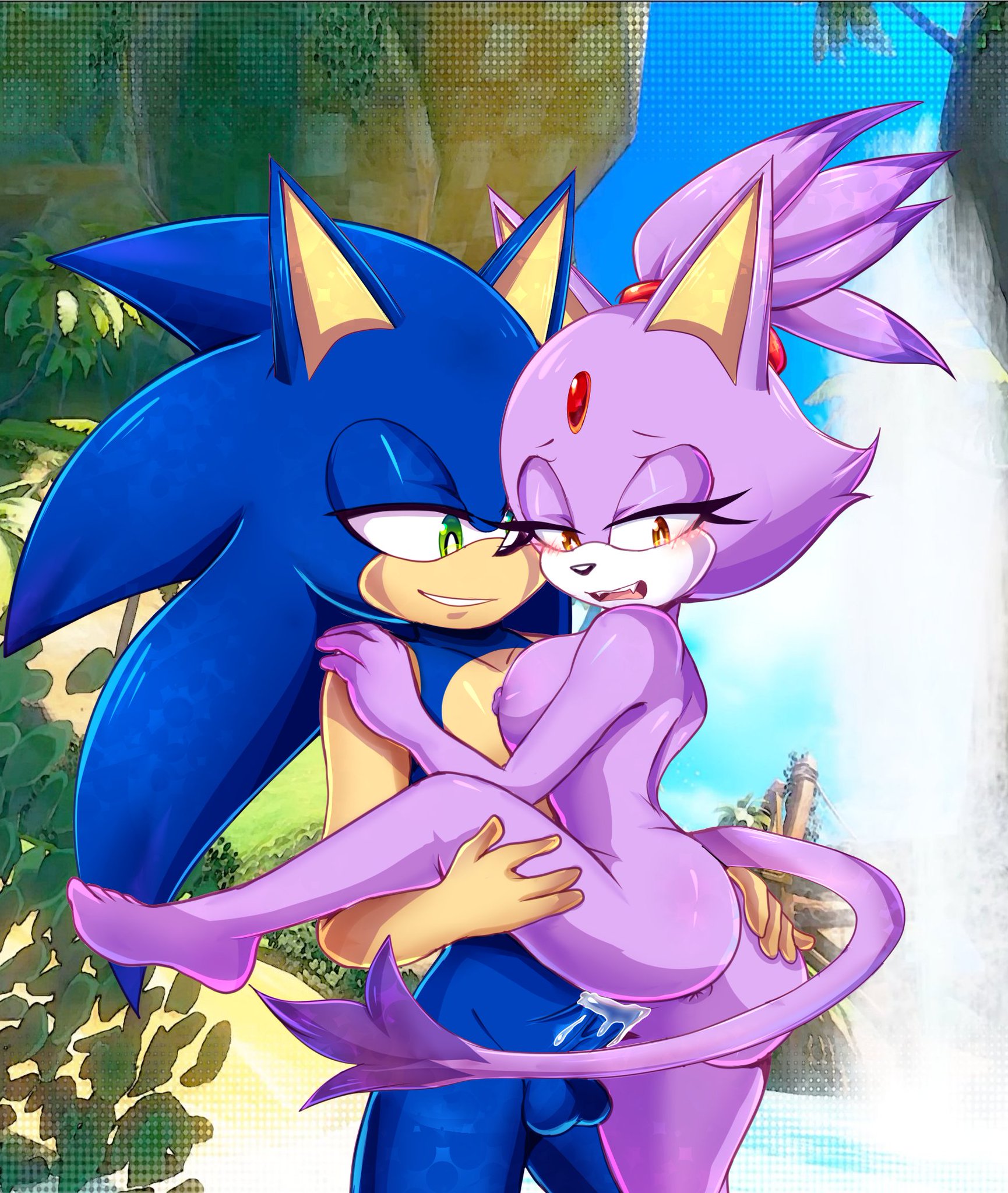 Blaze The Cat (Sega) Rule 34 Image