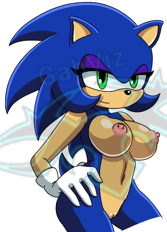 Sonic The Hedgehog (Sega) Rule 34 Image