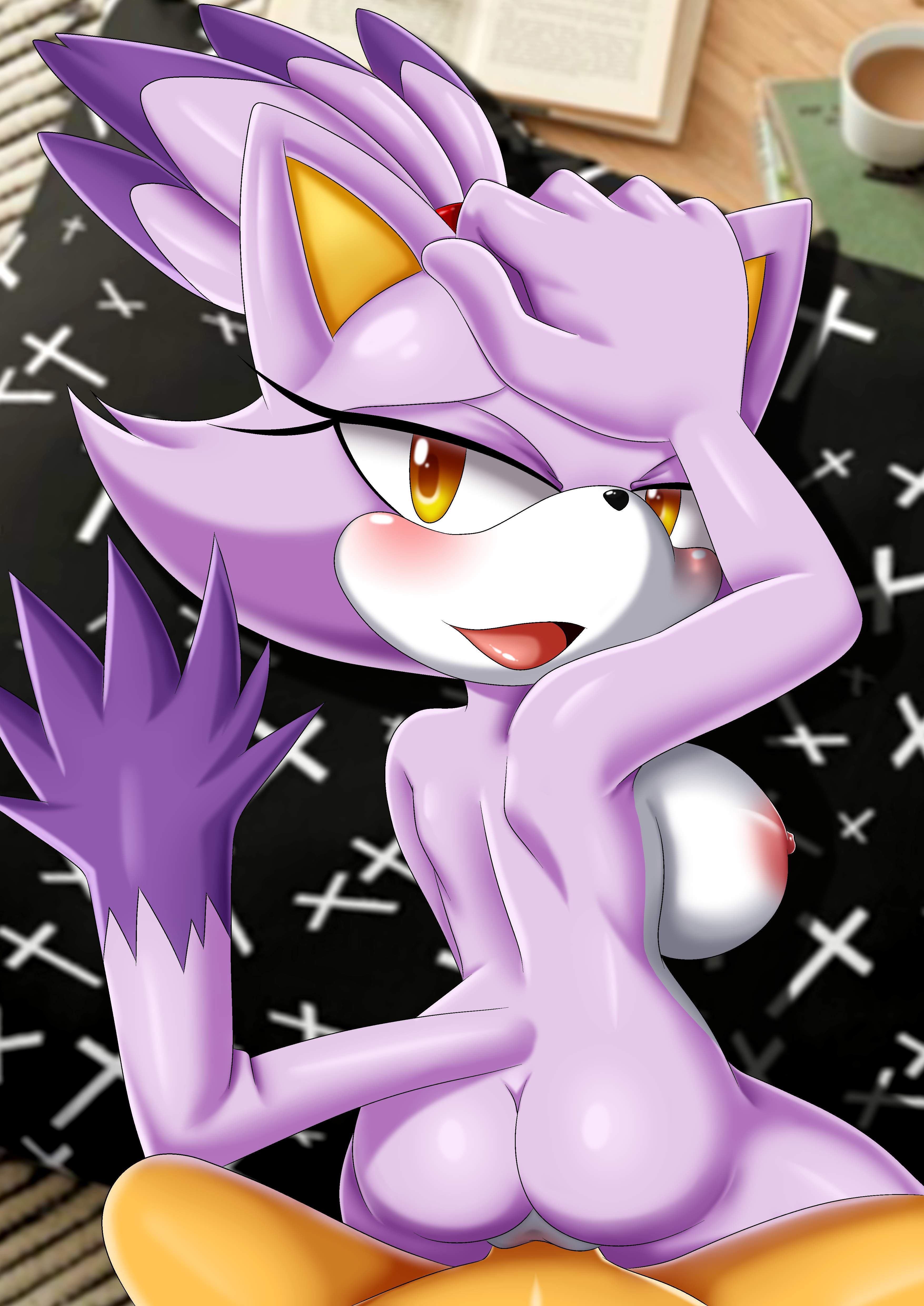 Blaze The Cat (Palcomix Team) Rule 34 Image