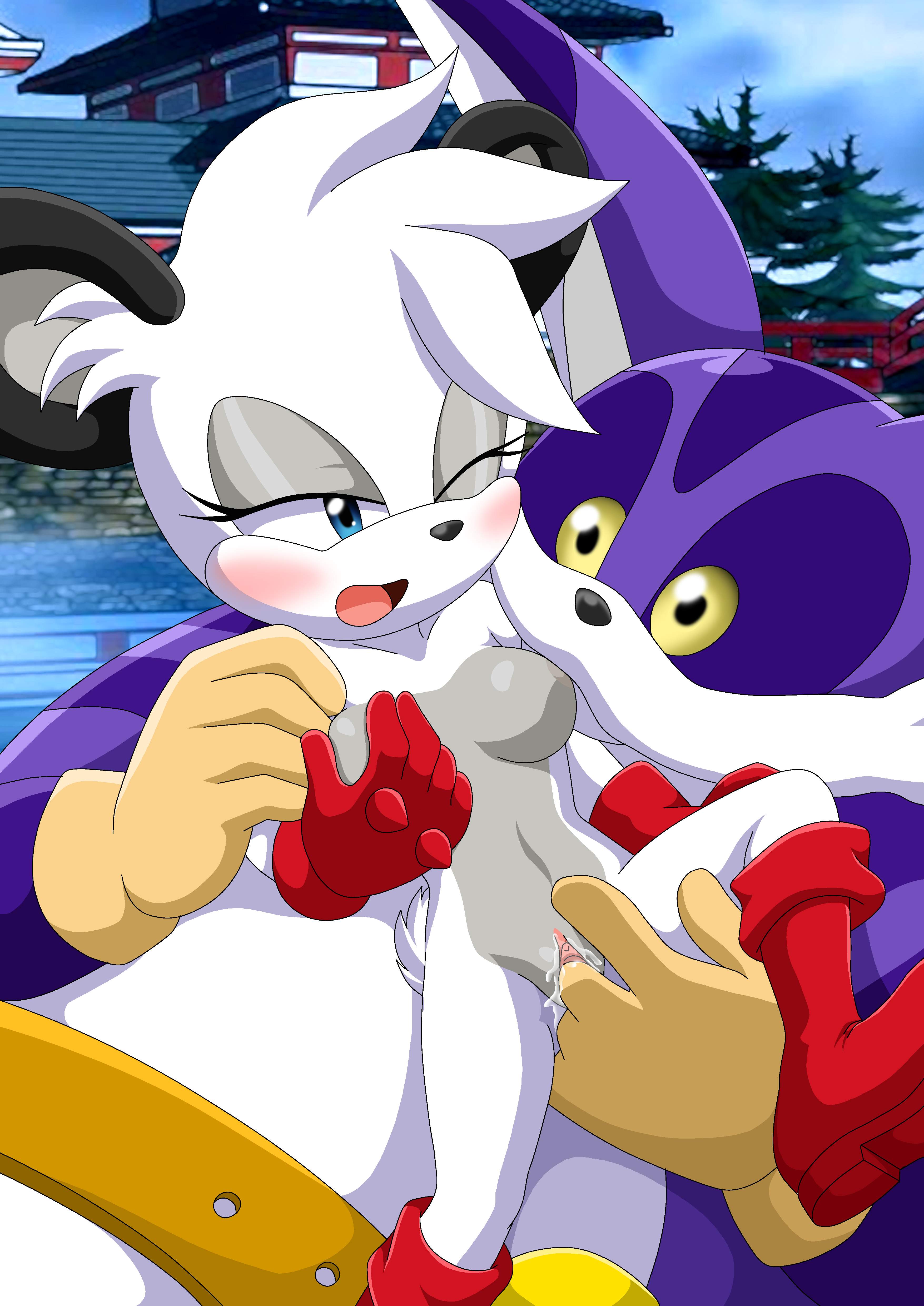 Barby Koala (Palcomix Team) Rule 34 Image