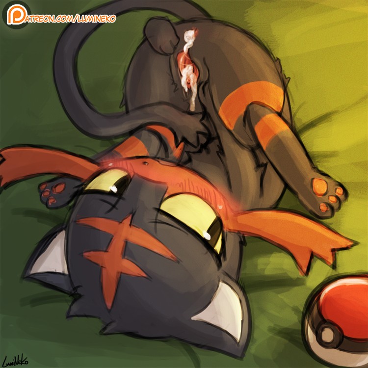 Litten (Nintendo) Rule 34 Image