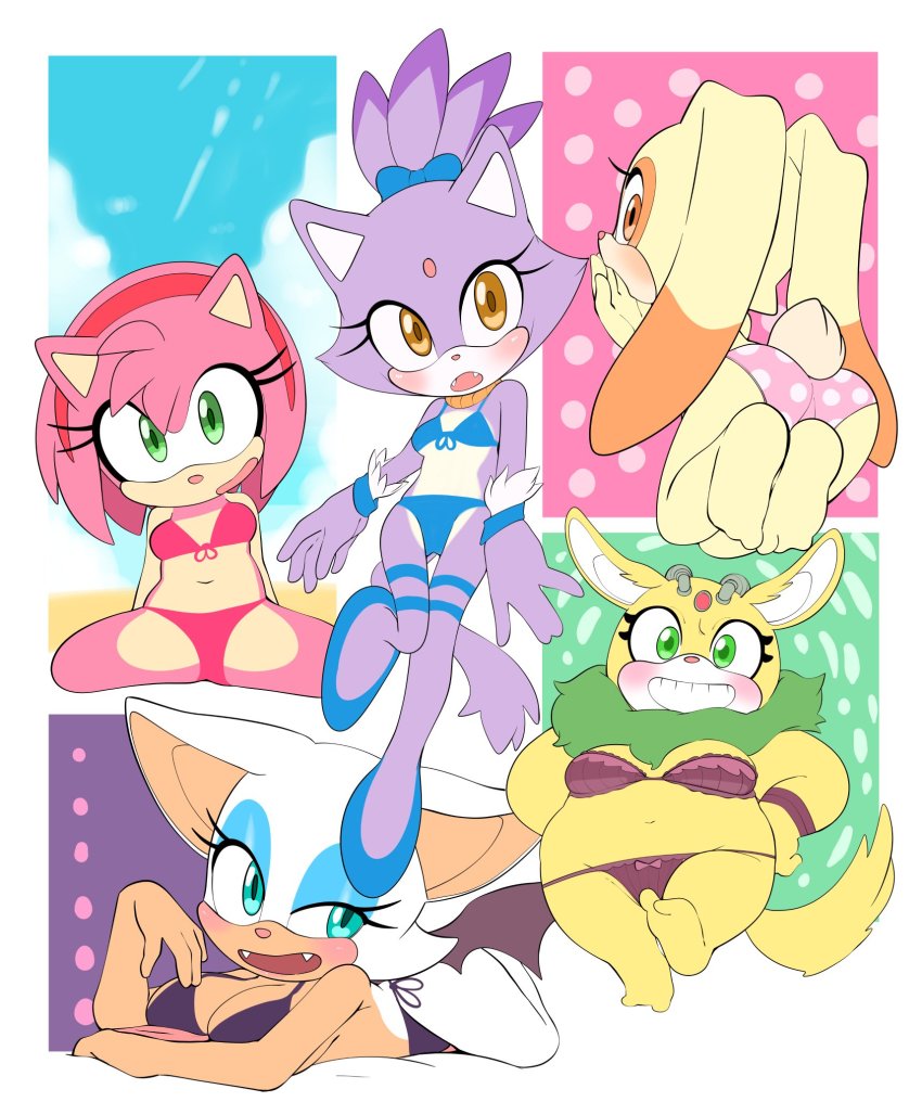 Amy Rose (Original) Rule 34 Image