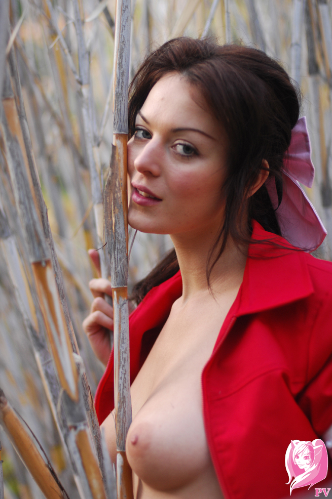 Aerith Gainsborough (Final Fantasy) Rule 34 Image