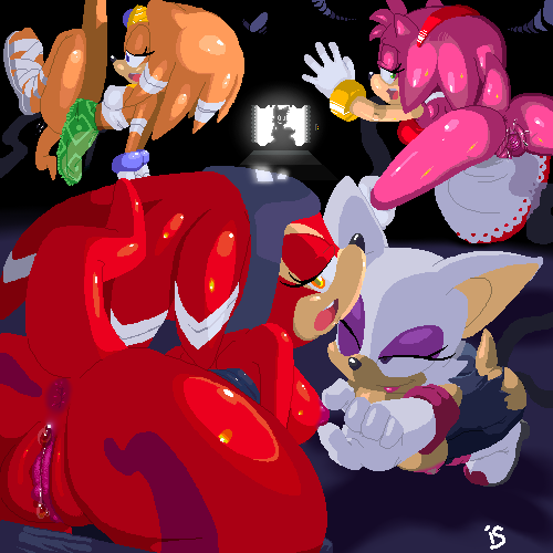 Amy Rose (Sonic (Series)) Rule 34 Image