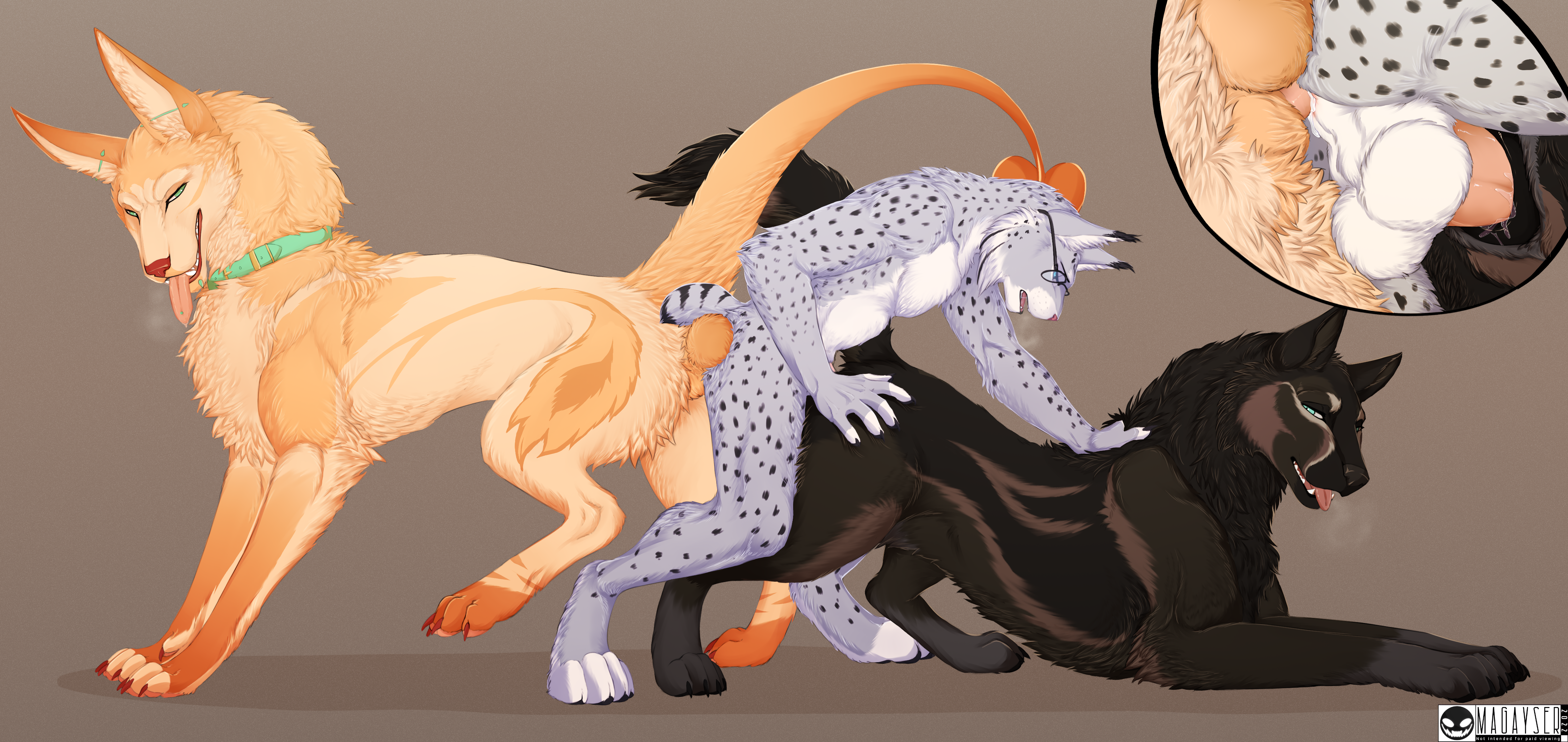 Hiona Rule 34 Image
