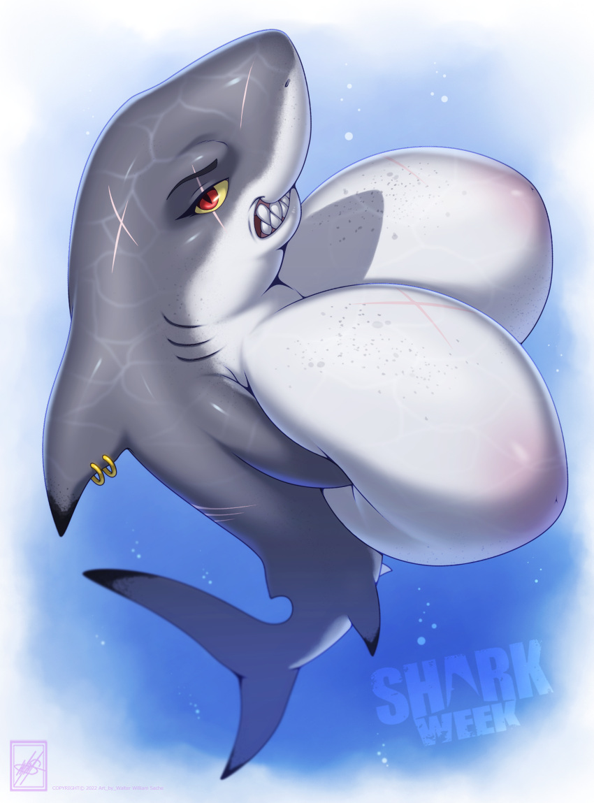 Discovery Channel Rule 34 Image