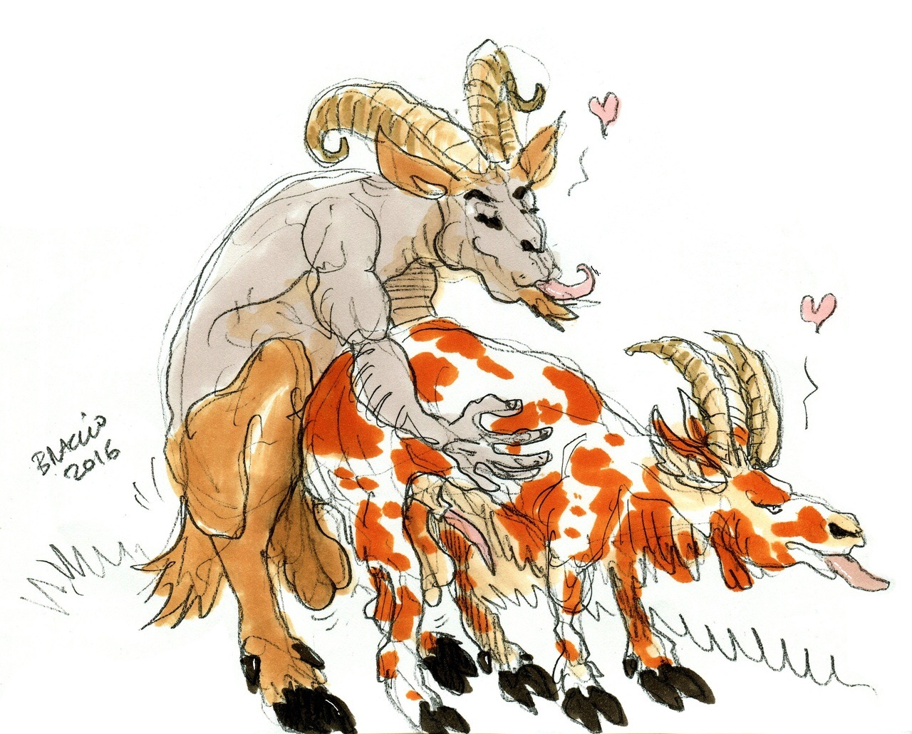 2016 Rule 34 Image