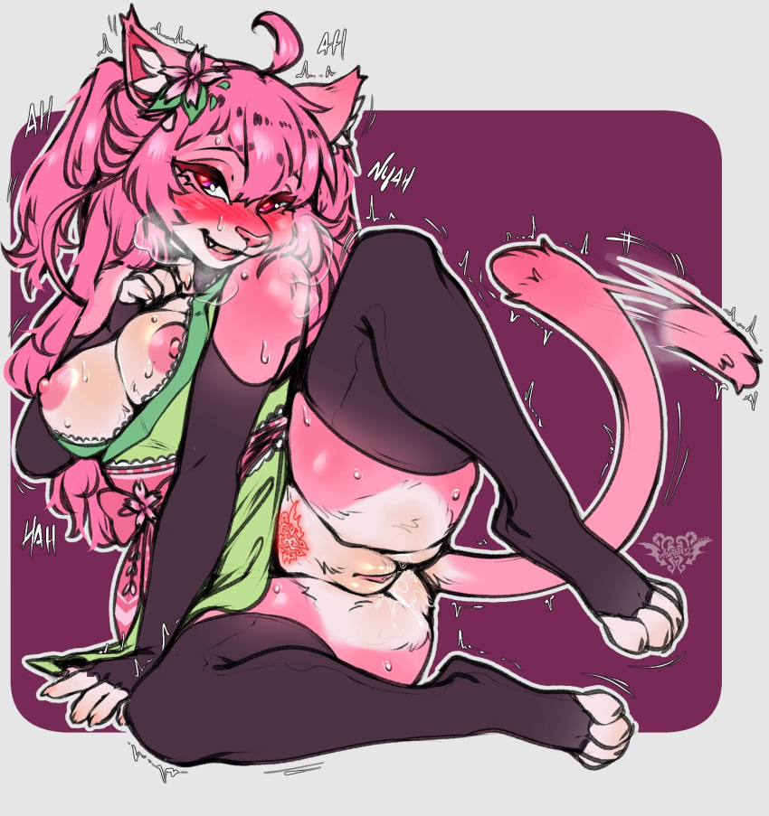 Anthro Rule 34 Image