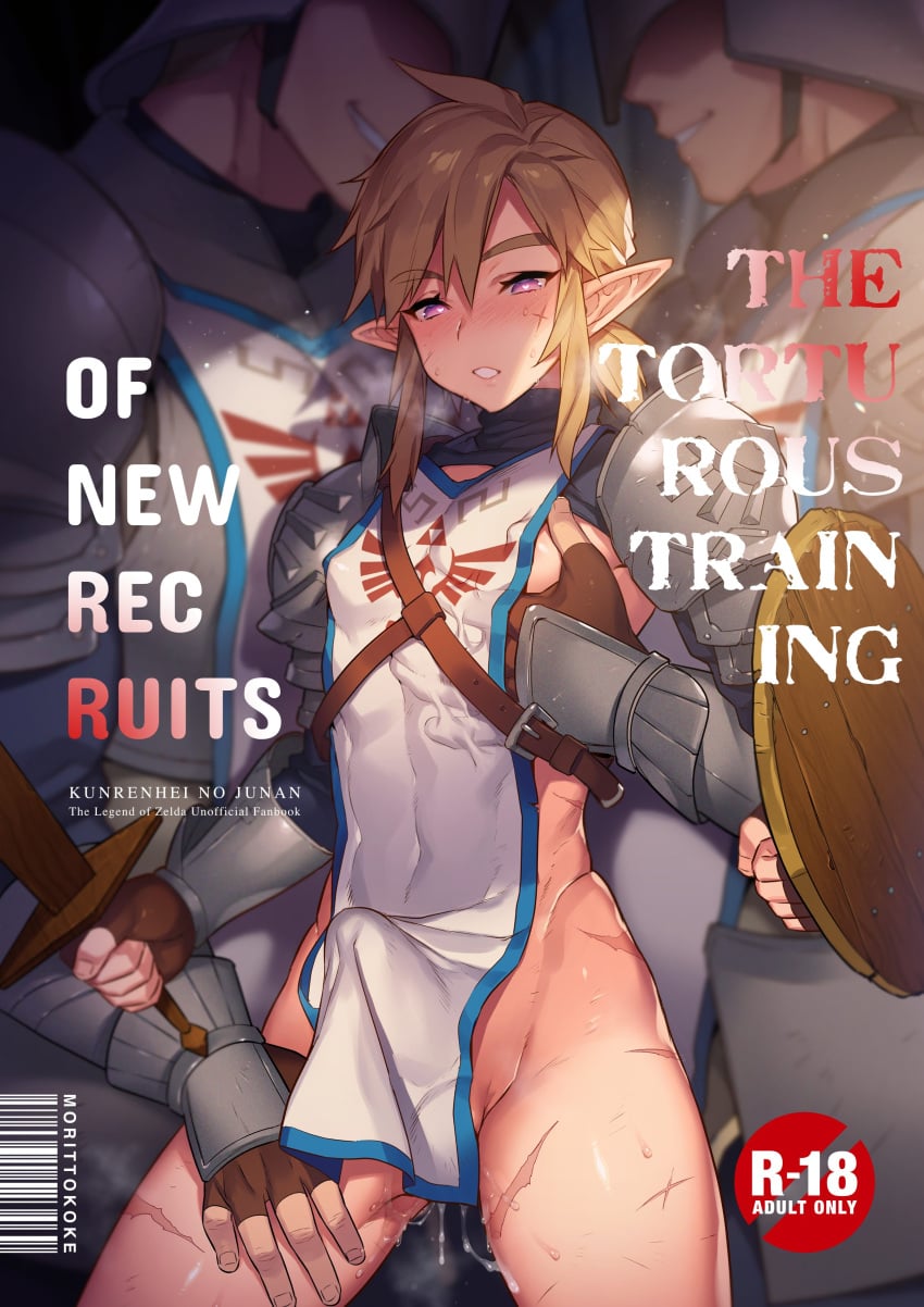 Link (Breath Of The Wild) Rule 34 Image