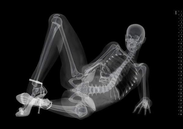 Bones Rule 34 Image