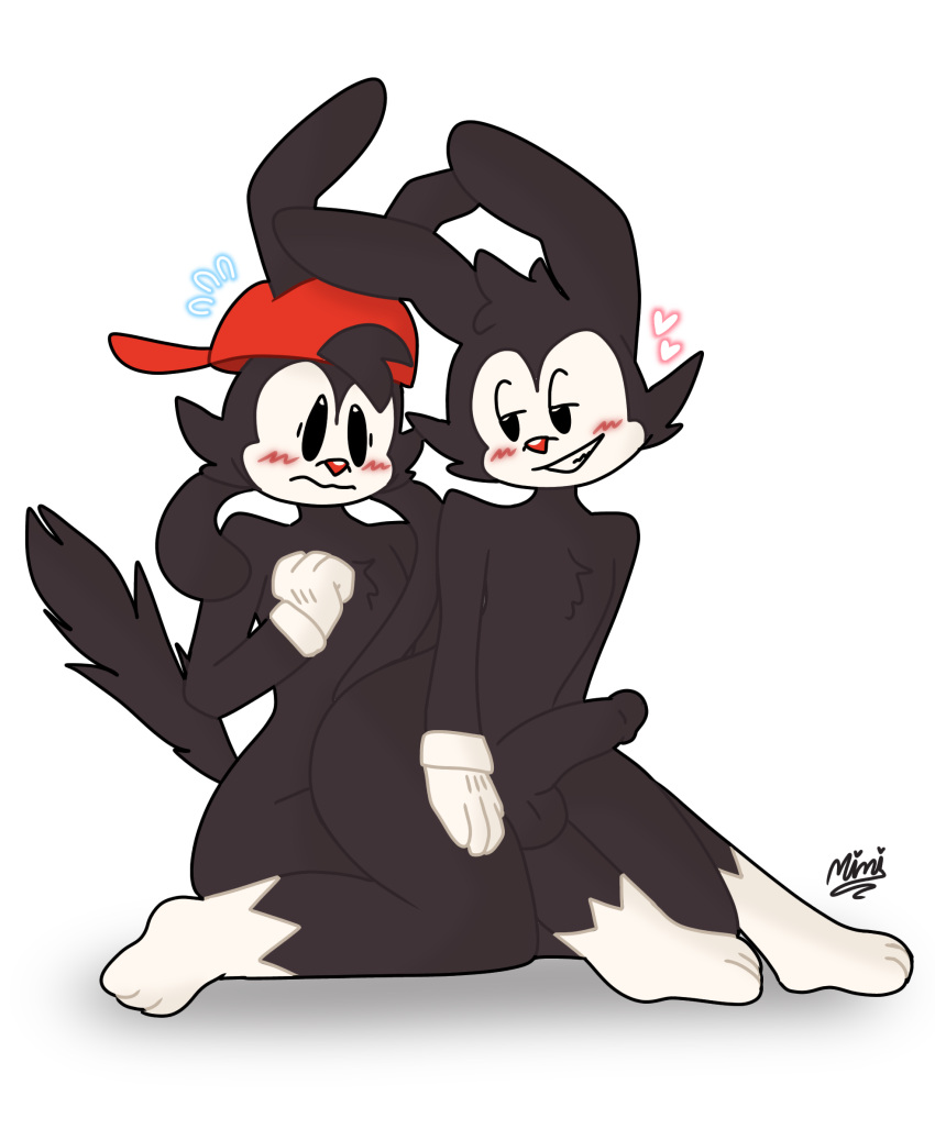 Wakko Warner (Animaniacs) Rule 34 Image