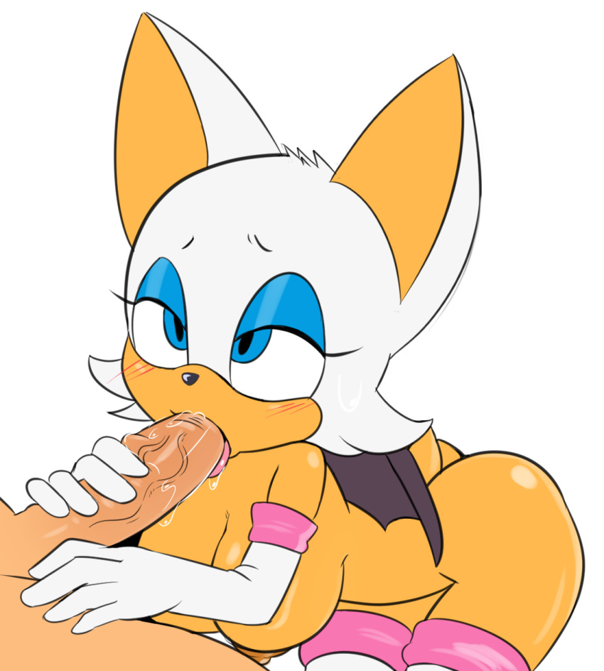 Rouge The Bat (Sega) Rule 34 Image
