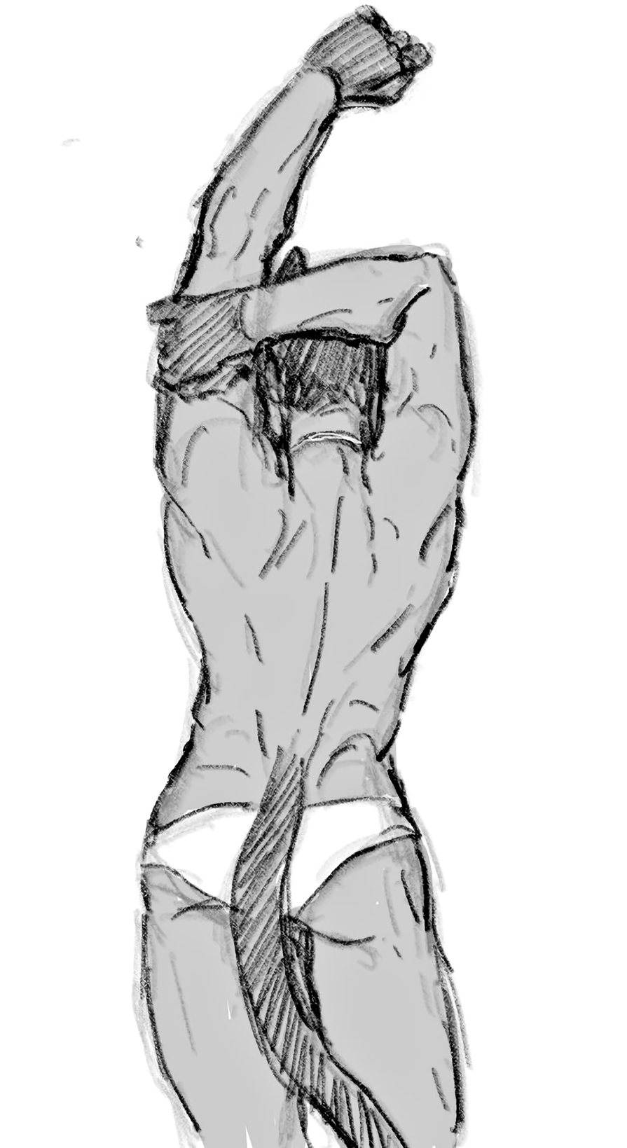 Moon Knight (Marvel) Rule 34 Image