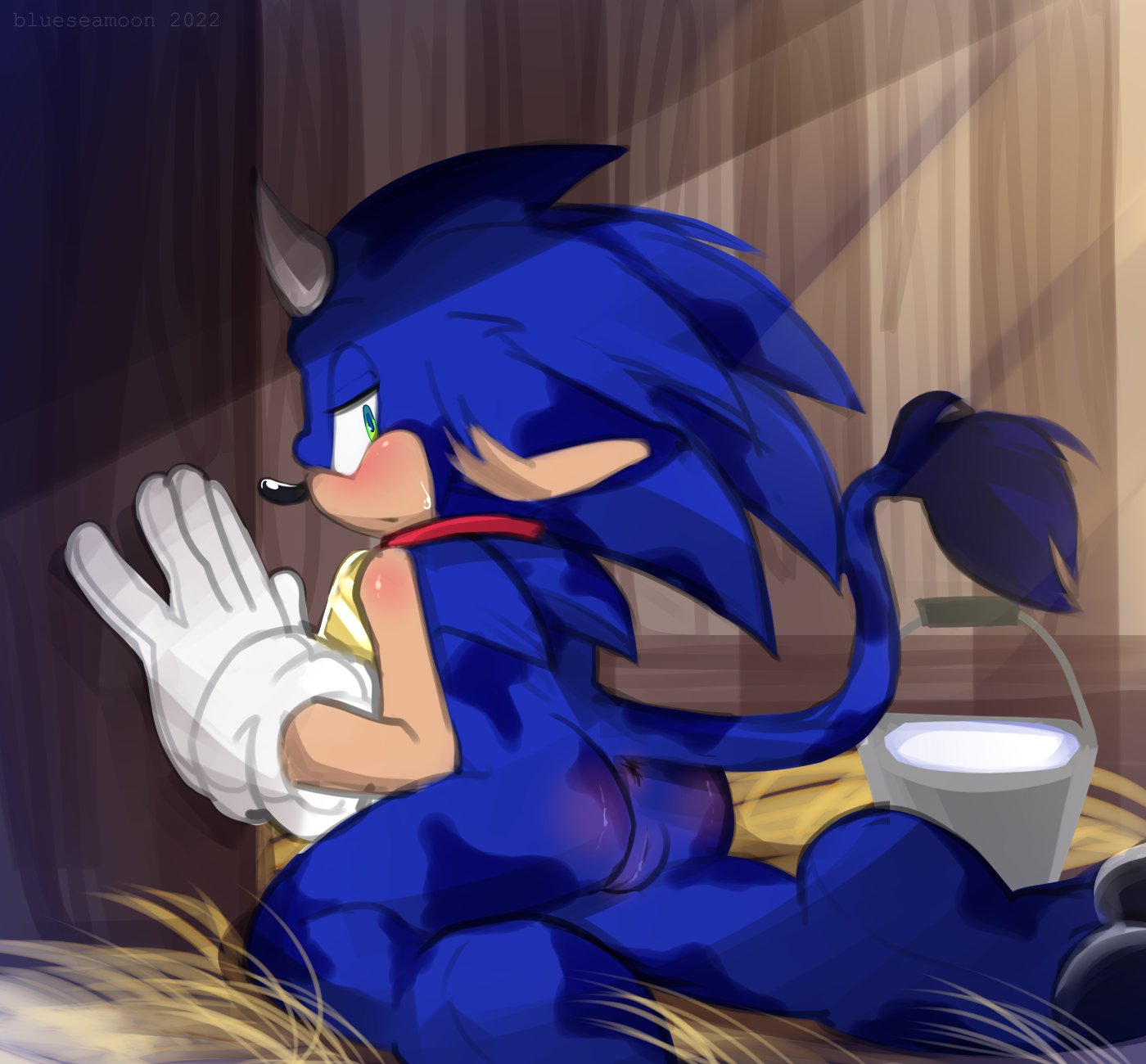 Sonic The Hedgehog Rule 34 Image