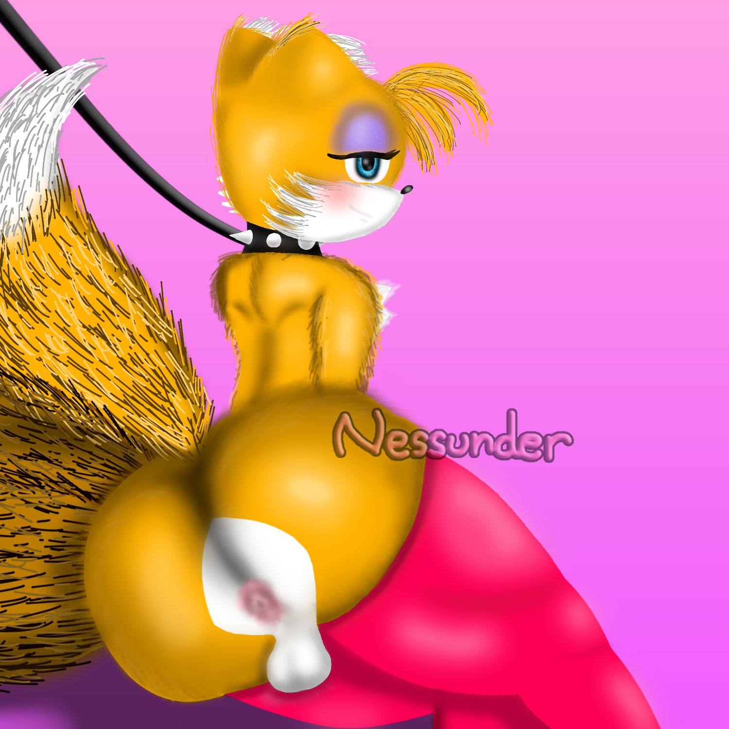 Feminine Tails (Sega) Rule 34 Image