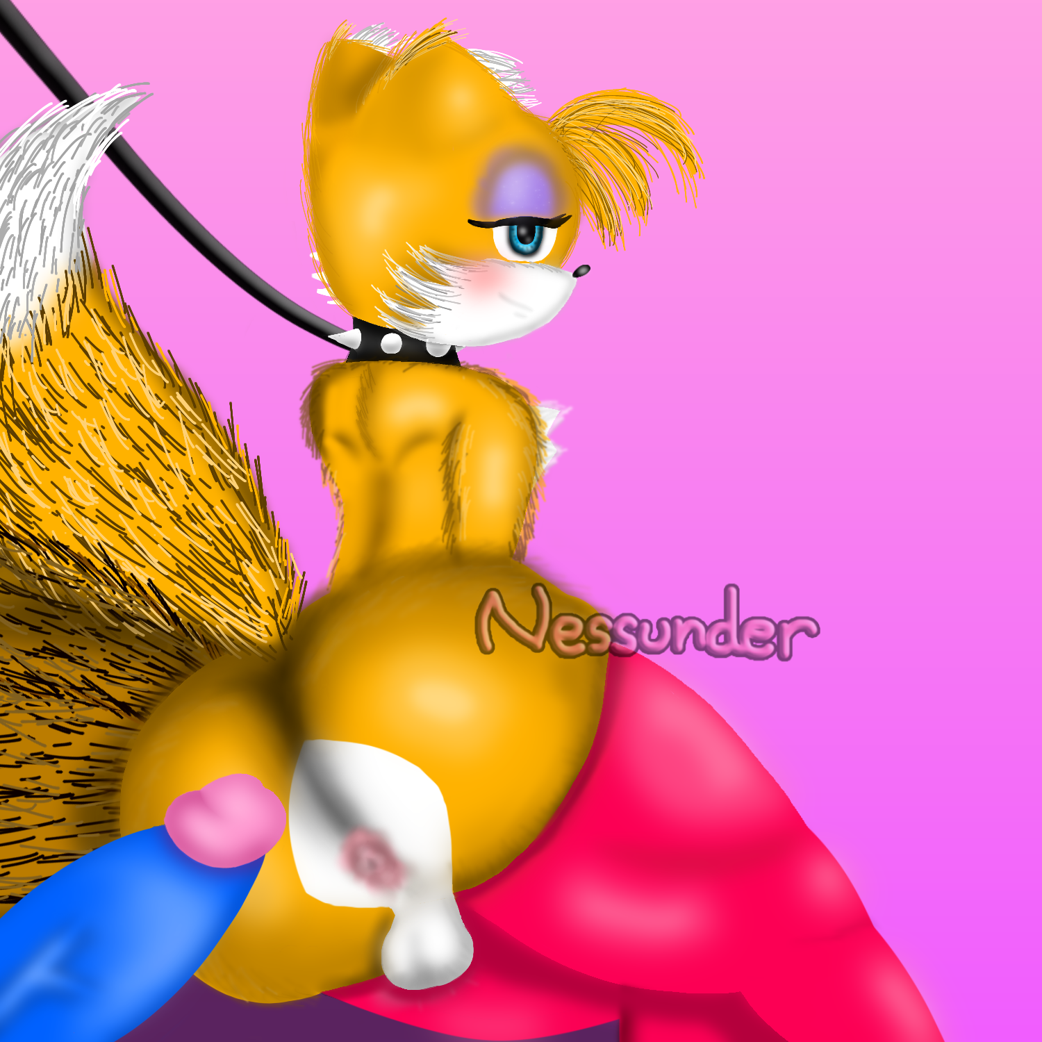 Feminine Tails (Sega) Rule 34 Image