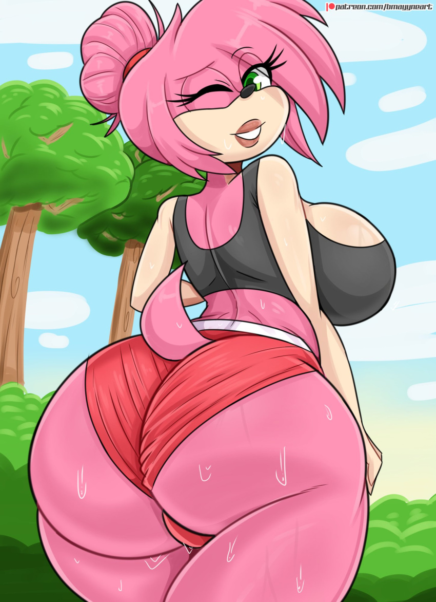 Amy Rose (Sega) Rule 34 Image