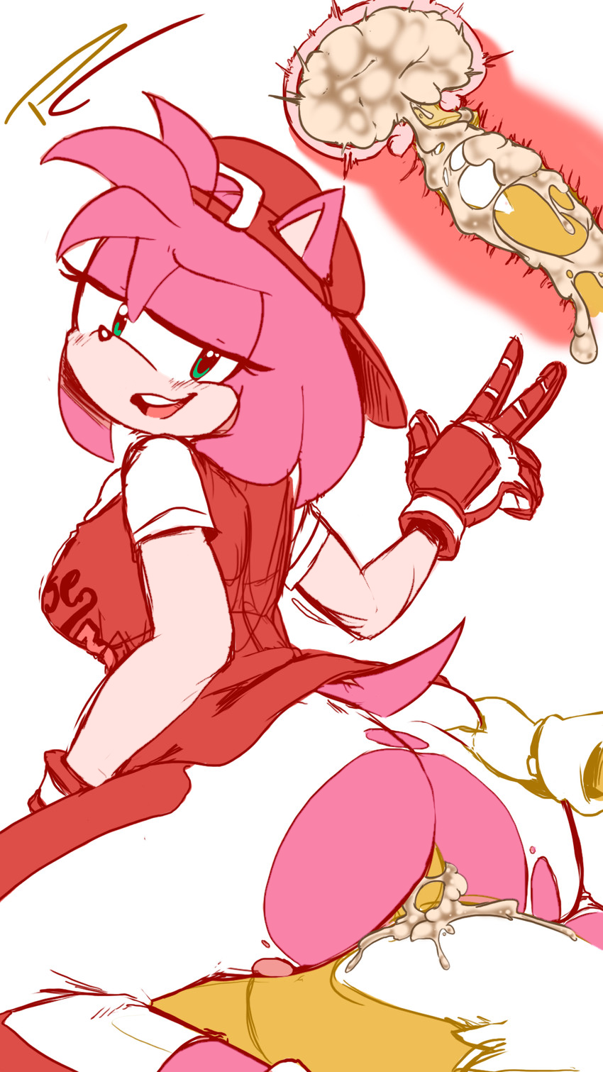 All-Star Amy (Sega) Rule 34 Image